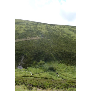 รูปถ่าย อังกฤษ(United Kingdom) อุทยานแห่งชาติแคร์นกอร์มส์(Cairngorms National Park) 2011-07 131