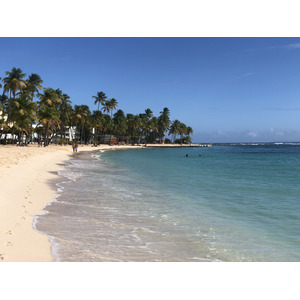 รูปถ่าย กวาเดอลูป(Guadeloupe) หาดลาการาแวล(La Caravelle Beach) 2021-02 132