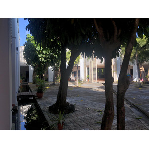 รูปถ่าย กวาเดอลูป(Guadeloupe) โรงแรมเลอมันกานาโอ(Le Manganao Hotel) 2021-02 91