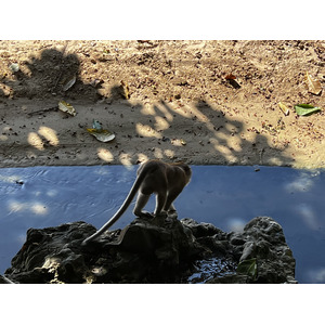 รูปถ่าย ไทย(Thailand) กระบี่(Krabi) อ่าวนาง(Ao Nang) 2023-01 47