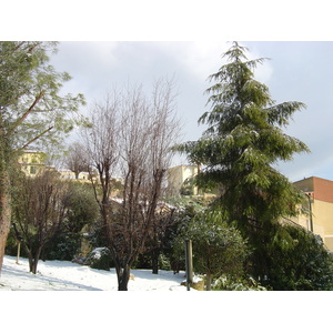 รูปถ่าย ฝรั่งเศส(France) วังซ์(Vence) 2005-02 30