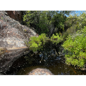 รูปถ่าย ฝรั่งเศส(France) คอร์สิคา(Corsica) แม่น้ำฟังโก(Fango river) 2023-06 18