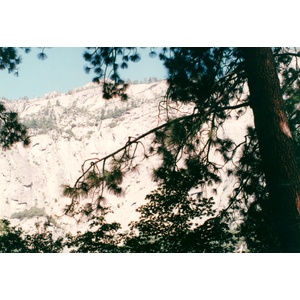 รูปถ่าย สหรัฐอเมริกา(United States) อุทยานแห่งชาติโยเซมิที(Yosemite National Park) 1992-08 12