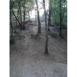 รูปถ่าย ฝรั่งเศส(France) วีลเนิฟ-ลูแบ(Villeneuve Loubet) สวนโวเกรอนีเย(Parc de Vaugrenier) 2006-09 14