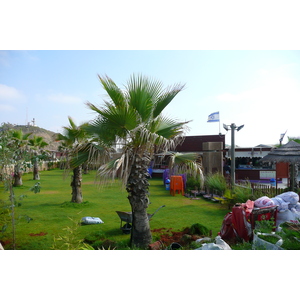 รูปถ่าย อิสราเอล(Israel) หาดริชอนเลซีโยน(Rishon Le Zion Beach) 2007-06 64