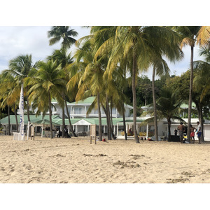 รูปถ่าย กวาเดอลูป(Guadeloupe) หาดลาการาแวล(La Caravelle Beach) 2021-02 161