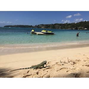 รูปถ่าย กวาเดอลูป(Guadeloupe) หาดลาการาแวล(La Caravelle Beach) 2021-02 75