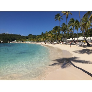 รูปถ่าย กวาเดอลูป(Guadeloupe) หาดลาการาแวล(La Caravelle Beach) 2021-02 38
