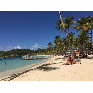 รูปถ่าย กวาเดอลูป(Guadeloupe) หาดลาการาแวล(La Caravelle Beach) 2021-02 31