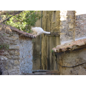 รูปถ่าย ฝรั่งเศส(France) มอตง(Menton) 2002-01 16