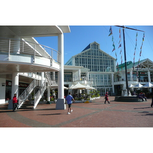 รูปถ่าย แอฟริกาใต้(South Africa) เคปทาวน์(Cape Town) 2008-09 19