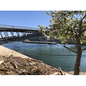 รูปถ่าย ฝรั่งเศส(France) ปารีสช่วงล็อกดาวน์(Paris lockdown) 2020-04 213