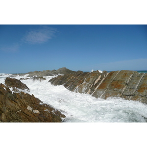 รูปถ่าย แอฟริกาใต้(South Africa) อุทยานแห่งชาติซิตซิคัมมา(Tsitsikamma National Park) 2008-09 448