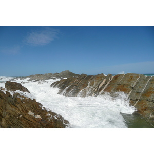 รูปถ่าย แอฟริกาใต้(South Africa) อุทยานแห่งชาติซิตซิคัมมา(Tsitsikamma National Park) 2008-09 480