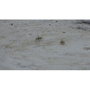 รูปถ่าย เซเชลส์(Seychelles) เกาะมาเฮ(Mahe) 2011-10 221