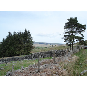 รูปถ่าย อังกฤษ(United Kingdom) อุทยานแห่งชาติเบรคอนบีคอนส์(Brecon Beacons National Park) 2006-05 26