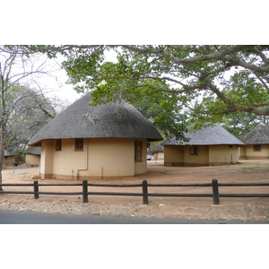 รูปถ่าย แอฟริกาใต้(South Africa) อุทยานแห่งชาติครูเกอร์(Kruger National Park) 2008-09 22