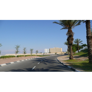 รูปถ่าย อิสราเอล(Israel) อึนโบเกก(Boqeq) 2007-06 34