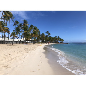 รูปถ่าย กวาเดอลูป(Guadeloupe) หาดลาการาแวล(La Caravelle Beach) 2021-02 101