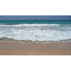 รูปถ่าย อิสราเอล(Israel) นิทซาน(Nitzan) 2007-06 66