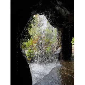 รูปถ่าย สิงคโปร์(Singapore) สวนพฤกษศาสตร์สิงคโปร์(Singapore Botanic Gardens) 2023-01 54
