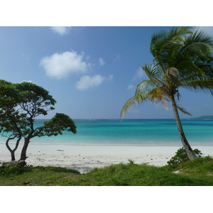 รูปถ่าย นิวแคลิโดเนีย(New Caledonia) เกาะลีฟู(Lifou) อ่าวชาโตบรีย็อง(Chateaubriand Bay) 2010-05 89