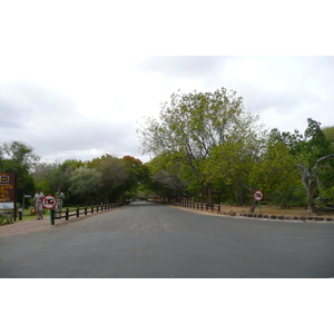 รูปถ่าย แอฟริกาใต้(South Africa) อุทยานแห่งชาติครูเกอร์(Kruger National Park) 2008-09 7
