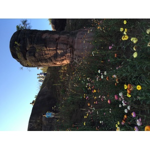รูปถ่าย ไทย(Thailand) อุทยานแห่งชาติภูหินร่องกล้า(Phu Hin Rong Kla National Park) 2014-12 396