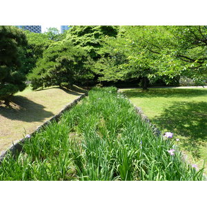 รูปถ่าย ญี่ปุ่น(Japan) โตเกียว(Tokyo) สวนฮามะริคิว(Hama rikyu Gardens) 2010-06 109