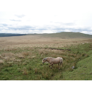 รูปถ่าย อังกฤษ(United Kingdom) อุทยานแห่งชาติเบรคอนบีคอนส์(Brecon Beacons National Park) 2006-05 25