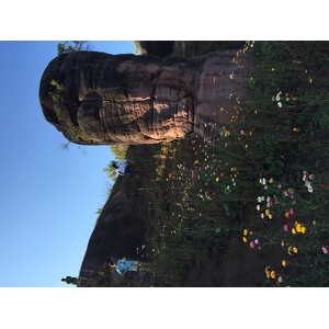 รูปถ่าย ไทย(Thailand) อุทยานแห่งชาติภูหินร่องกล้า(Phu Hin Rong Kla National Park) 2014-12 338