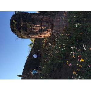 รูปถ่าย ไทย(Thailand) อุทยานแห่งชาติภูหินร่องกล้า(Phu Hin Rong Kla National Park) 2014-12 304