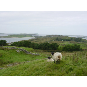 รูปถ่าย ไอร์แลนด์(Ireland) คอนเนอมารา(Connemara) 2003-09 36