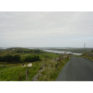 รูปถ่าย ไอร์แลนด์(Ireland) คอนเนอมารา(Connemara) 2003-09 54