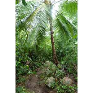 รูปถ่าย เซเชลส์(Seychelles) อ่าวอ็องส์ลาซิโอ(Anse Lazio) 2011-10 125