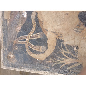รูปถ่าย กรีก(Greece) เกาะดีลอส(Delos) 2014-07 90