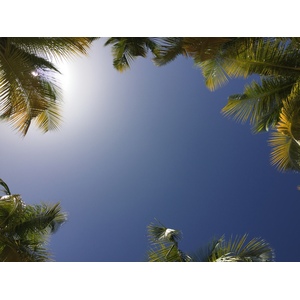 รูปถ่าย กวาเดอลูป(Guadeloupe) หาดลาการาแวล(La Caravelle Beach) 2021-02 41