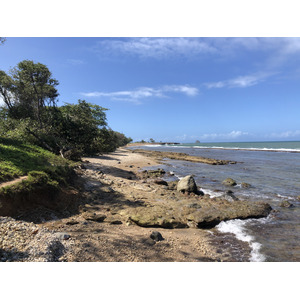 รูปถ่าย กวาเดอลูป(Guadeloupe) หาดกลูญี(Clugny Beach) 2021-02 6