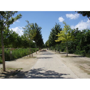 รูปถ่าย ฝรั่งเศส(France) โคลอมบ์(Colombes) เกาะมาร็องต์(L'ile Marrante) 2007-07 41