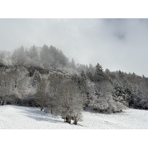 รูปถ่าย ฝรั่งเศส(France) ปรา-ซูร์-อาร์ลี(Praz sur Arly) 2025-02 37