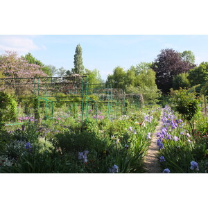 รูปถ่าย ฝรั่งเศส(France) ฌีแวร์นี(Giverny) 2013-06 12