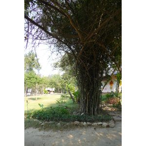 รูปถ่าย ไทย(Thailand) ชลบุรี(Chonburi) หาดทรายแก้ว(Sai Keaw Beach) 2008-01 3