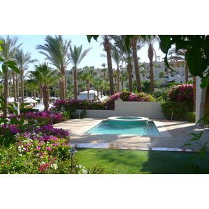 รูปถ่าย อียิปต์(Egypt) ชาร์มเอลชีค(Sharm el Sheikh) โรงแรมโฟร์ซีซันส์(Four Seasons Hotel) 2008-06 86