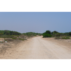 รูปถ่าย อิสราเอล(Israel) นิทซาน(Nitzan) 2007-06 90