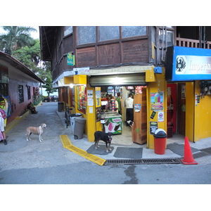 รูปถ่าย คอสตาริกา(Costa Rica) มอนเตซูมา(Montezuma) 2015-03 164