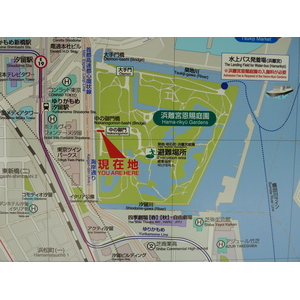 รูปถ่าย ญี่ปุ่น(Japan) โตเกียว(Tokyo) สวนฮามะริคิว(Hama rikyu Gardens) 2010-06 23