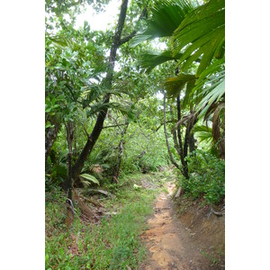 รูปถ่าย เซเชลส์(Seychelles) อ่าวอ็องส์ลาซิโอ(Anse Lazio) 2011-10 126