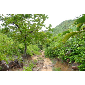 รูปถ่าย เซเชลส์(Seychelles) อ่าวอ็องส์ลาซิโอ(Anse Lazio) 2011-10 97