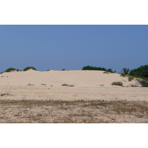 รูปถ่าย อิสราเอล(Israel) นิทซาน(Nitzan) 2007-06 97