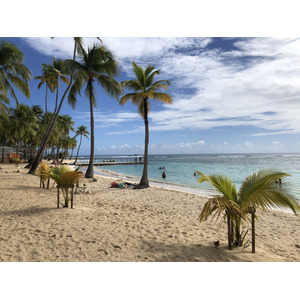 รูปถ่าย กวาเดอลูป(Guadeloupe) หาดลาการาแวล(La Caravelle Beach) 2021-02 52